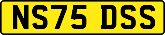 NS75DSS