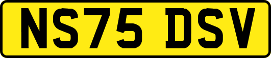 NS75DSV