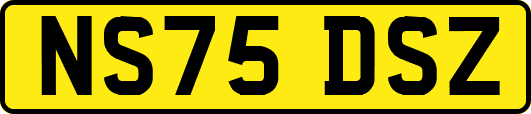 NS75DSZ
