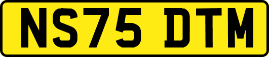 NS75DTM