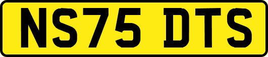 NS75DTS