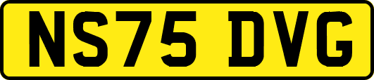 NS75DVG