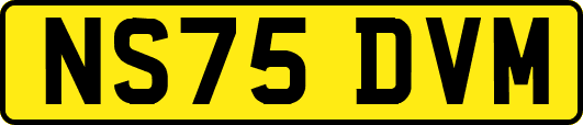 NS75DVM