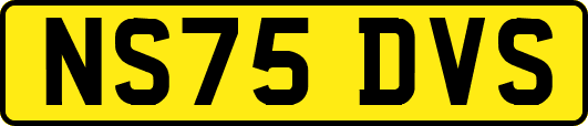 NS75DVS