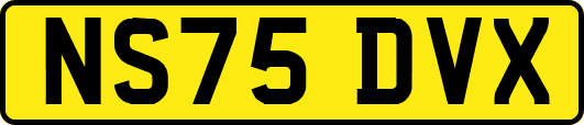 NS75DVX