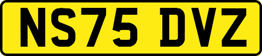 NS75DVZ