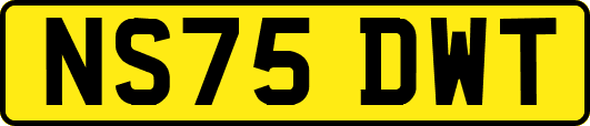 NS75DWT