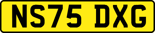 NS75DXG