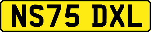 NS75DXL