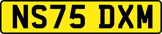 NS75DXM