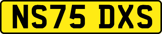 NS75DXS