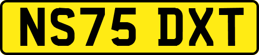 NS75DXT