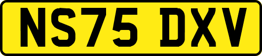 NS75DXV