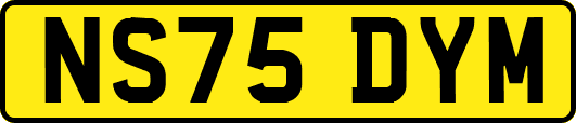 NS75DYM