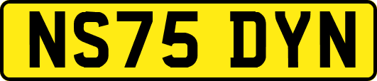 NS75DYN