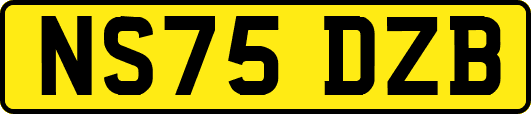 NS75DZB
