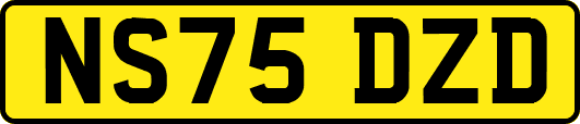 NS75DZD
