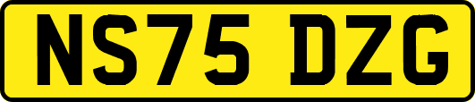 NS75DZG