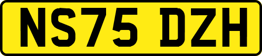 NS75DZH