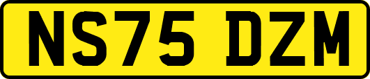 NS75DZM