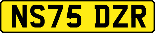 NS75DZR