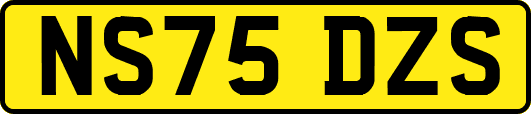 NS75DZS