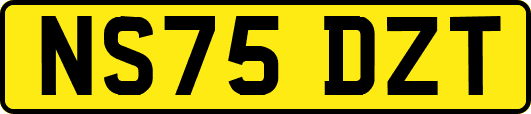 NS75DZT