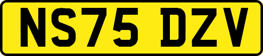 NS75DZV