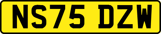 NS75DZW