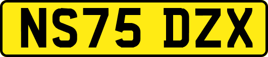 NS75DZX