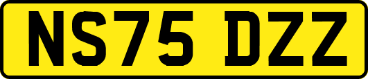 NS75DZZ