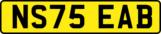 NS75EAB
