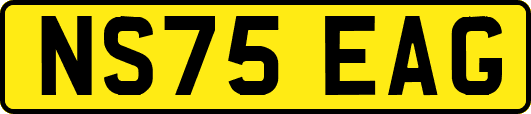 NS75EAG