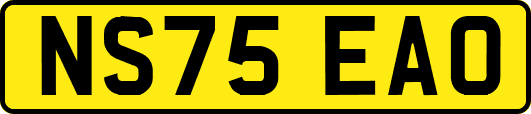 NS75EAO