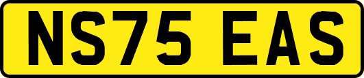 NS75EAS
