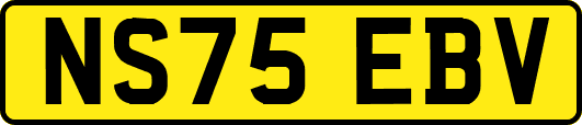 NS75EBV