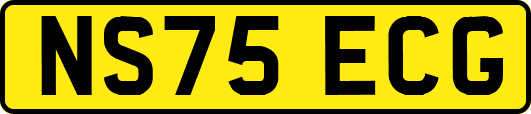 NS75ECG