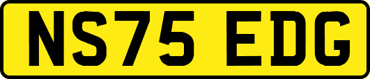 NS75EDG