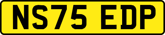 NS75EDP