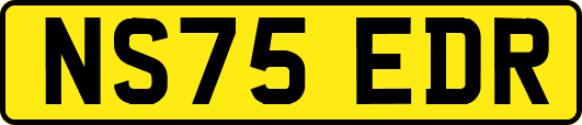 NS75EDR