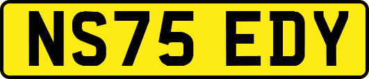 NS75EDY