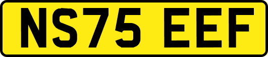 NS75EEF