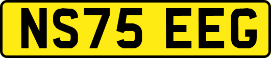 NS75EEG