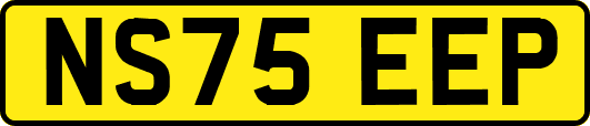 NS75EEP