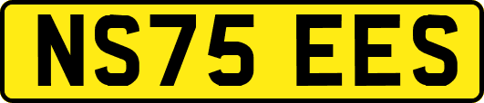NS75EES