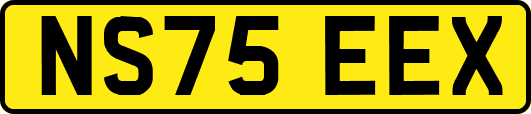 NS75EEX