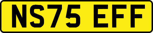 NS75EFF