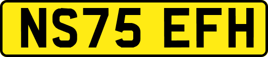 NS75EFH
