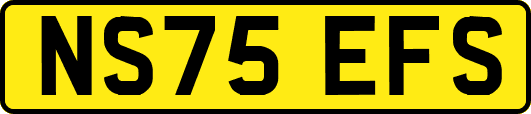 NS75EFS