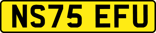 NS75EFU